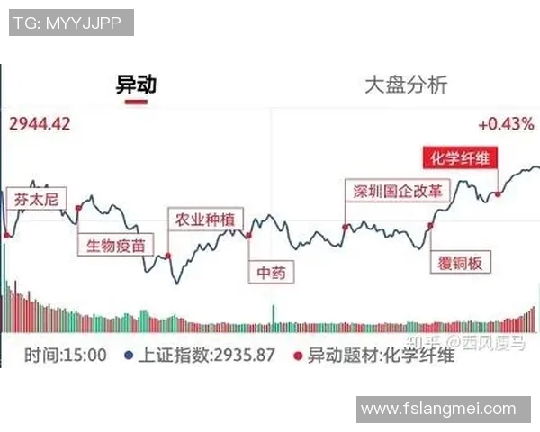 成都排球队与上海排球队赛后复盘分析比赛节奏与战术对决的深度剖析