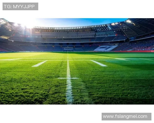 当裁判的足球明星如何在绿茵场上平衡公正与激情的双重角色