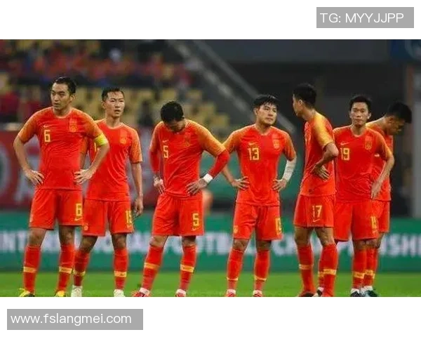 排球耐力排行榜揭晓上海排球队荣登第四名展现强大实力