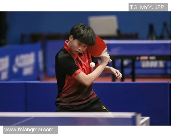 刘军乒乓球人生的深度对话与成长历程探秘