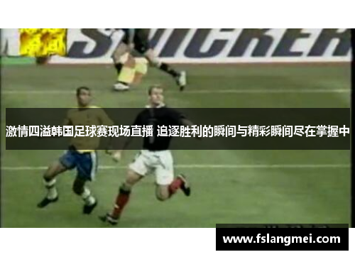 激情四溢韩国足球赛现场直播 追逐胜利的瞬间与精彩瞬间尽在掌握中