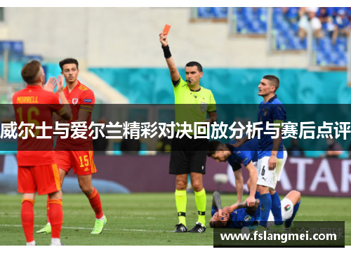 威尔士与爱尔兰精彩对决回放分析与赛后点评
